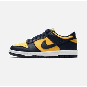 Dunk Low 'mıchıgan' 2021/2024