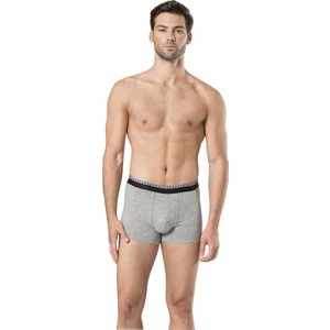 Pierre Cardin Erkek 2'Li Stretch Boxer