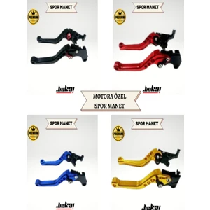 Bajaj Pulsar Rs 200 Spor Manet