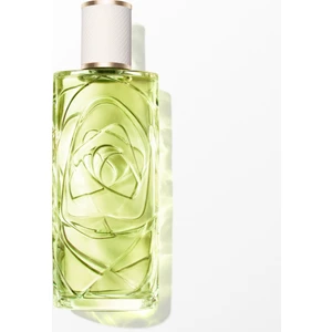 Off Now 100 ml 3614274380415