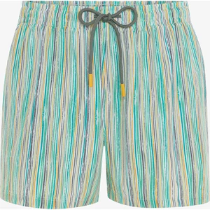 Çizgili Ethnic Erkek Şort Mayo