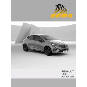 Renault Clio Kqj Uyumlu Kaya Gri - Çizik ve Taş Izi Giderici Rötuş Boyası 30ML ve Rötüş Çeliği
