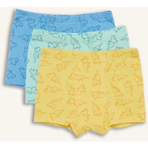 Erkek Çocuk Desenli 3'lü Boxer E6877A825SP