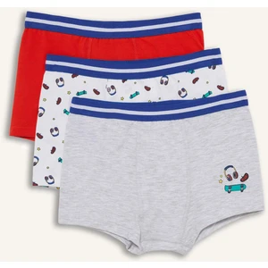 Erkek Çocuk Desenli 3'lü Boxer E6878A825SP