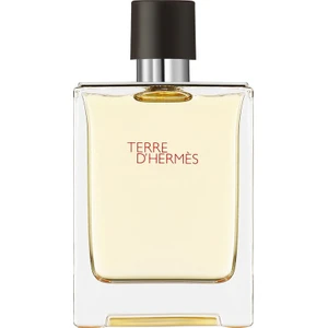 Terre D'hermes Edt 100 ml Erkek Parfüm