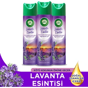 Air Wick Aerosol Lavanta Esintisi 3X300 ml