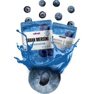 Refresh Chips Freeze Dried Yaban Mersini - Dondurularak Kurutulmuş Meyve - Freeze Dry Meyve Kurusu 20gr