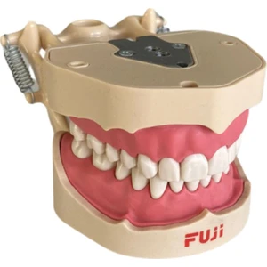 Fuji Diş Etli Çene