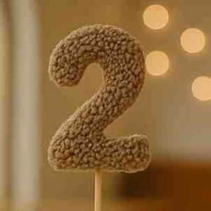 Kutlamalar Için Pasta Üstü El Yapımı Sayı Süsleri (2 Rakam)