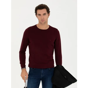 Erkek Bordo Slim Fit Bisiklet Yaka Basic Triko Kazak 50245040-VR014