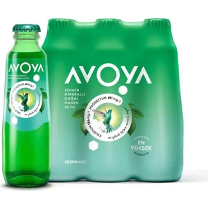 Maden Suyu 200 ml  x 12 Adet