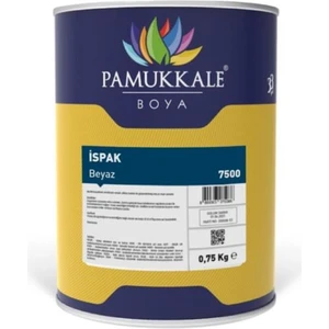 Ispak Is ve  Örtücü Boya 750 gr