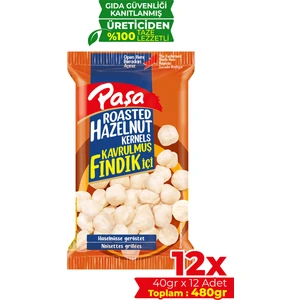Kuruyemiş Kavrulmuş Fındık İçi 40 gr x 12 Adet (480 gr)