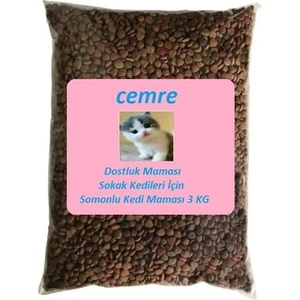 Dostluk Maması Sokak Kedileri İçin Somonlu Kedi Maması 3 kg