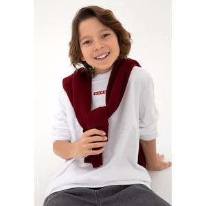 U.S. Polo Assn. Erkek Çocuk Beyaz Sweatshirt 50293567-VR013