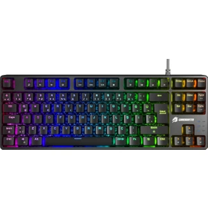 Gamebooster G23B Enigma Tkl Rainbow Aydınlatmalı Red Switch Mekanik Siyah Oyun Klavyesi