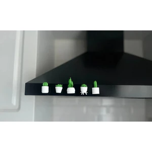 Mini Sukulent Magnet Seti – 5'li