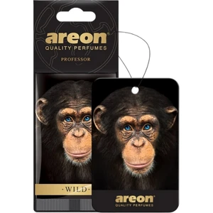 Wild Professor Oto Araç Kokusu