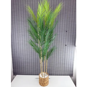 Dekoratif Yapay Yapraklı Hasır Su Sümbülü Saksılı Areka Palmiye Ağacı 4 Gövde 150CM