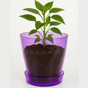 Şeffaf Mor Burgu Desenli Orkide Saksısı 1,3 Litre | Drenajlı, Modern Tasarım Saksı