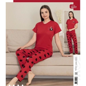 Kadın Ikili Pijama Takımı