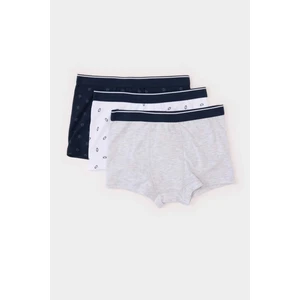 Erkek Çocuk Desenli 3'lü Boxer E1570A824AU