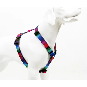 Tailpetz Wave H-tipi Göğüs Tasması Ayarlanabilir, Konforlu Ve Dayanıklı Desenli Köpek Tasması