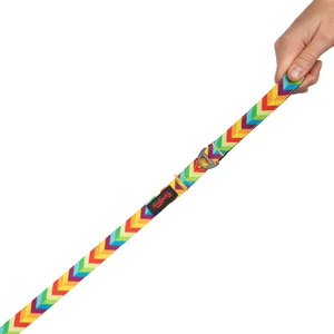 Tailpetz Kedi Köpek Sevk & Gezdirme Kayışı RAINBOW 130x2cm