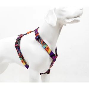 Tailpetz Splash H-tipi Göğüs Tasması Ayarlanabilir, Konforlu Ve Dayanıklı Desenli Köpek Tasması