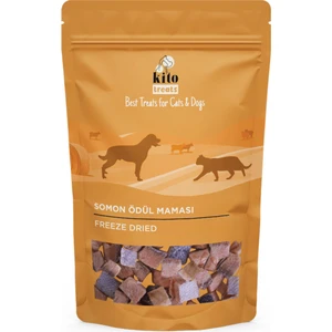 Freeze Dried Somon Ödül Maması Kediler için (30 gr)