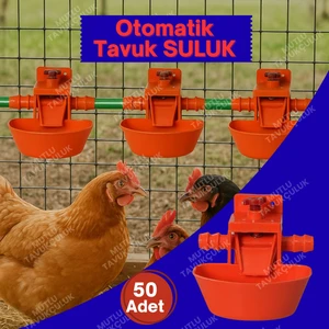 50 Adet Otomatik Suluk Tavuk Suluğu Civciv Güvercin Bıldırcın Sülün Muhabbet Kuşu Keklik Ördek Hindi