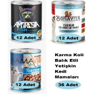 Karma Koli Balık Etli Yetişkin Kedi Maması 36 Adet