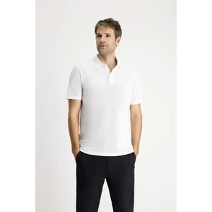 Polo Yaka Regular Fit Nakışlı Pamuklu Tişört