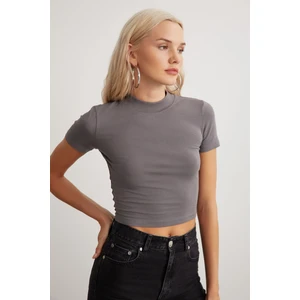 Niara Kadın Pamuk Elastan Bisiklet Yaka kısa Kollu Slim Fit Crop Gri T-Shirt