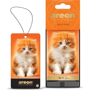 Wild Blue Eyes Oto Araç Kokusu