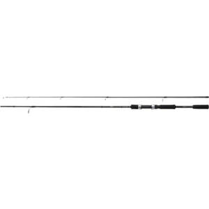 Shimano FX XT 270MH 14-40 Gr Spin Kamışı