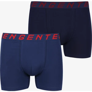 Erkek 2'li Pamuklu Likralı Boxer