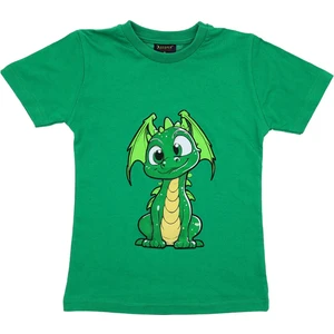 Erkek Çocuk T-Shirt