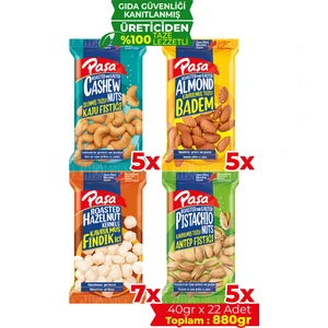 Paşa Kuruyemiş Karışık Kuruyemiş 40 gr x 22 Adet (880 gr)