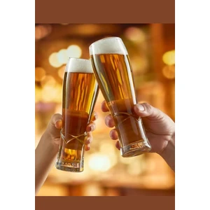 420748 Craft Bira Bardağı 455 cc 6'lı