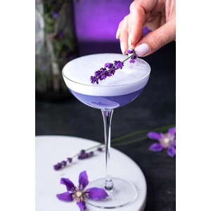 Nude Savage 6 lı Coupetini Kadeh Seti1112794 67286 170 cc