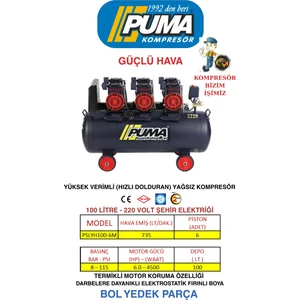 100 Lt Yüksek Verimli Kompresör (Yağsız 6 Hp)