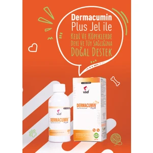 Dermacumin Plus 100ML Jel Kediler Için Cilt Enfeksiyonları Tedavi Desteği