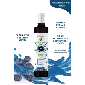 Doğal 700 gr Yaban Mersini Özü – Katkısız & Yoğun Kıvamlı