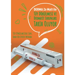Derma Zn 30ML Malt Kediler Için Tüy Dökülme Engelleyici