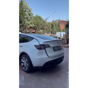 Tesla Model 30 Litre Çift Kapak Tecnopoint Oto Buzdolabı