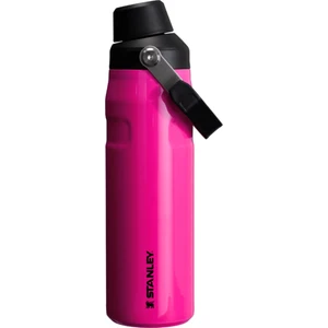 Iceflow Fast Flow Su Termosu 0.7 Lt Neon Pembe