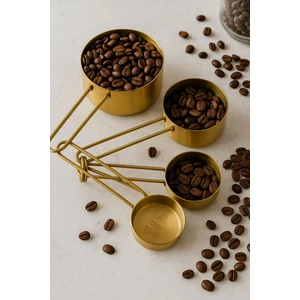 4'lü Metal Saplı Gold Touch Premium Ölçü Kaşık Seti