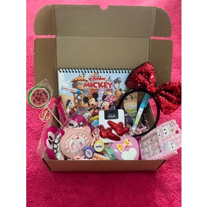 Esraly Gift Magic Water Painting  Disney Mickey Mouse Özel Sulu Kalem ile Sihirli Boyama Kitabı ile birlikte Kız Çocukları Için Mickey Mouse Temalı Özel Gün Kutusu& Doğum günü  kutusu