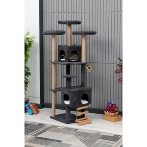 Kedi Evi, Kedi Oyun Evi , Kedi Tırmamala - Tokyo